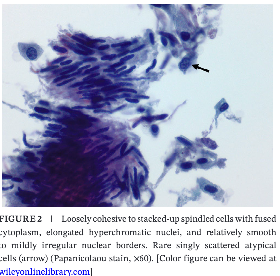 Diagnostic Cytopath tweet media