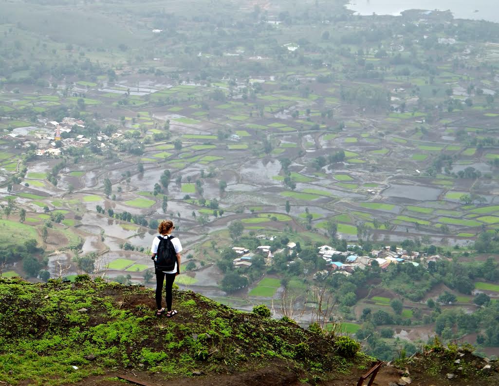 Pitt Global Experiences tweet media