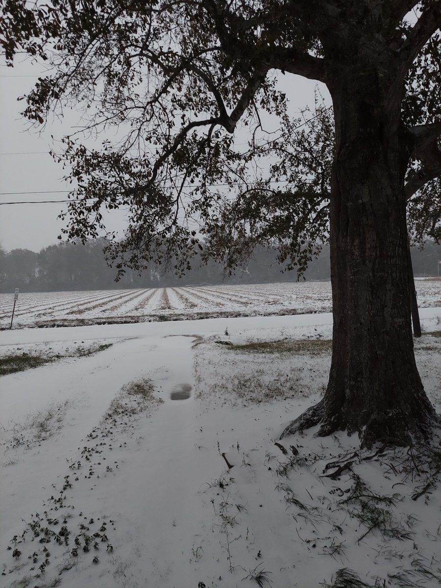 #SneauxDay #Blizzard #Warning