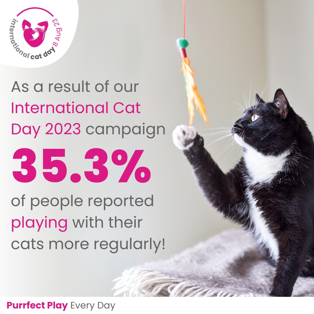 😻 More of our research from our 2023 #InternationalCatDay ‘Purrfect Play Every Day’ campaign has been published in the journal Applied Animal Behaviour Science! Read it here 👉 sciencedirect.com/science/articl…

Beat the January blues by taking time to play with your cat today! 🐈