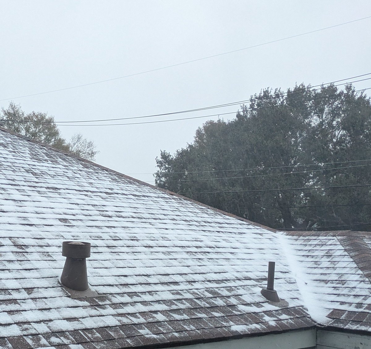 Not ready to open my doors, but snow is accumulating in Broadmoor #NOLAsnowday