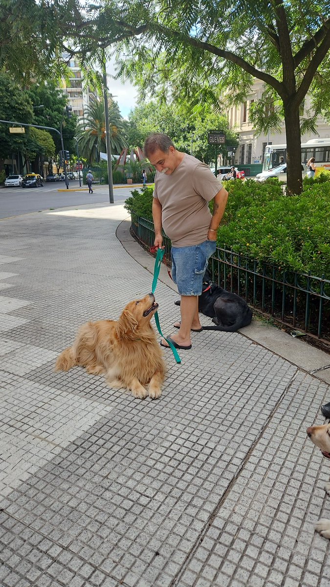 VintageReciclad's tweet photo. Vinimos a la plaza como siempre y terminamos haciendo la denuncia por maltrato animal.
Lo cagó a trompadas a su perro.
Logramos que al perro se lo lleve un vecino, primero a  la veterinaria , para control
Luego le buscaremos tránsito y familia. https://t.co/oS9RPJ5Azo