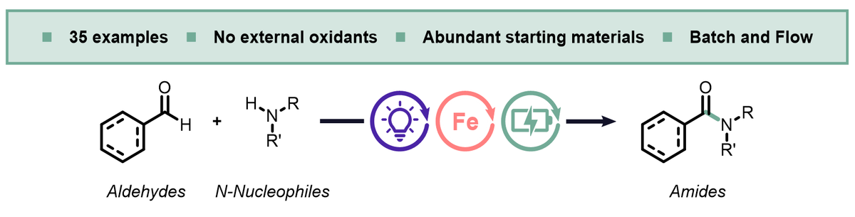 NoelGroupUvA's tweet photo. Check out our new preprint on #electrophotocatalysis: 
Oxidant-free amidation of aldehydes enabled by a hydrogen atom transfer - radical polar crossover sequence.

🔗@ChemRXiv: https://t.co/JThoe16qBc

Congrats Dimitris, Elena, Jiri, @JoostReek and @tnoel82 

#flowchemistry https://t.co/nt1VSzHQml