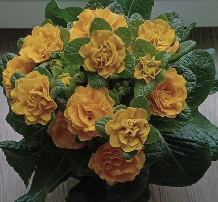 Hayatın akışına müdahale etmek gibi bir mücadelemiz zaten yoktu
Bizim ki renk katma çabasıydı.
Olduğu kadar olmadığı kader di zaten..