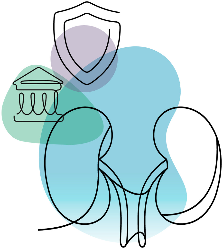 2024 was a banner year for progress on kidney transplant policy. Read up on ASN-championed legislation as well as major regulatory milestones that took place in the last weeks of 2024. bit.ly/KN170110