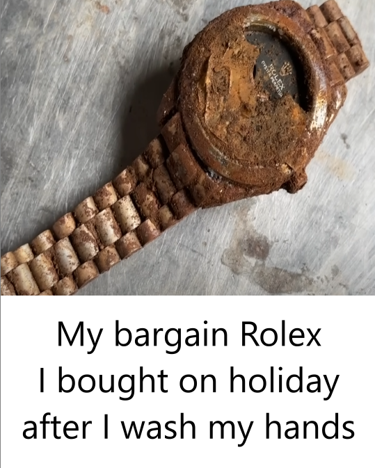 __MaxQ's tweet image. 