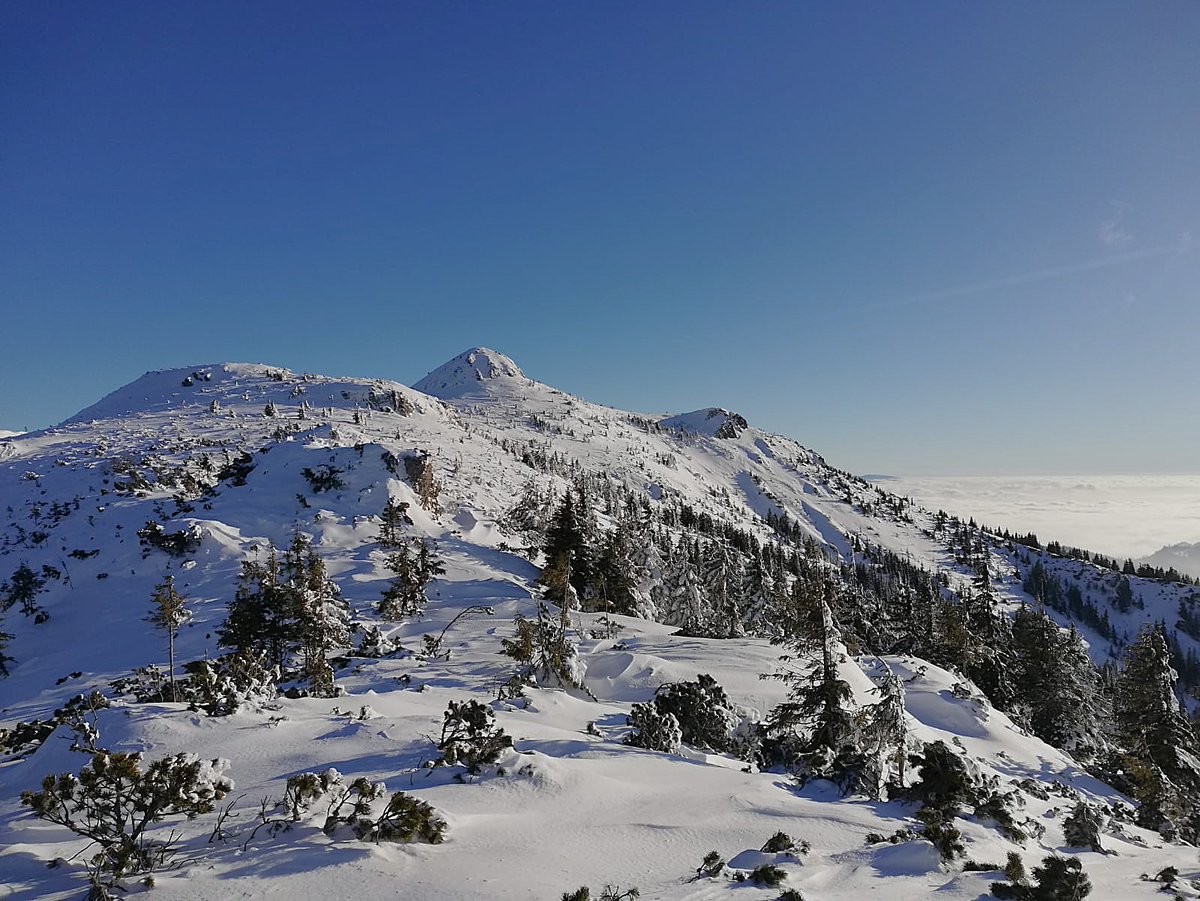 RNP_Romsilva's tweet photo. Timpul pare să stea pe loc în 𝗣𝗮𝗿𝗰𝘂𝗹 𝗡𝗮ț𝗶𝗼𝗻𝗮𝗹 𝗖ă𝗹𝗶𝗺𝗮𝗻𝗶.🏔️
Peisaje superbe dintr-un refugiu perfect pentru cei care doresc să scape de agitația cotidiană, în mijlocul unei naturi aproape neatinse de mâna omului.
#heavysnow #Romania #mountains #winter #Calimani https://t.co/vERySyD3KT