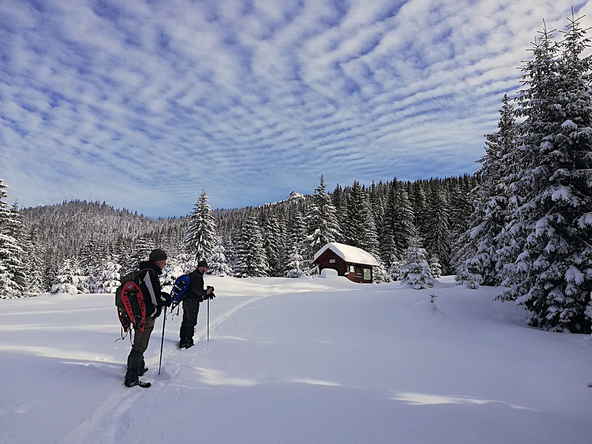 RNP_Romsilva's tweet photo. Timpul pare să stea pe loc în 𝗣𝗮𝗿𝗰𝘂𝗹 𝗡𝗮ț𝗶𝗼𝗻𝗮𝗹 𝗖ă𝗹𝗶𝗺𝗮𝗻𝗶.🏔️
Peisaje superbe dintr-un refugiu perfect pentru cei care doresc să scape de agitația cotidiană, în mijlocul unei naturi aproape neatinse de mâna omului.
#heavysnow #Romania #mountains #winter #Calimani https://t.co/vERySyD3KT