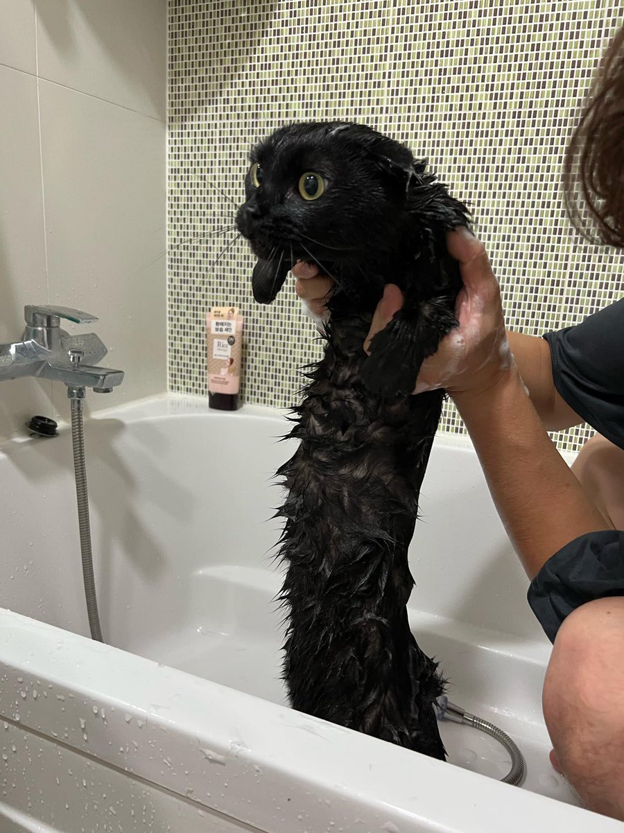 실존하는 이무기