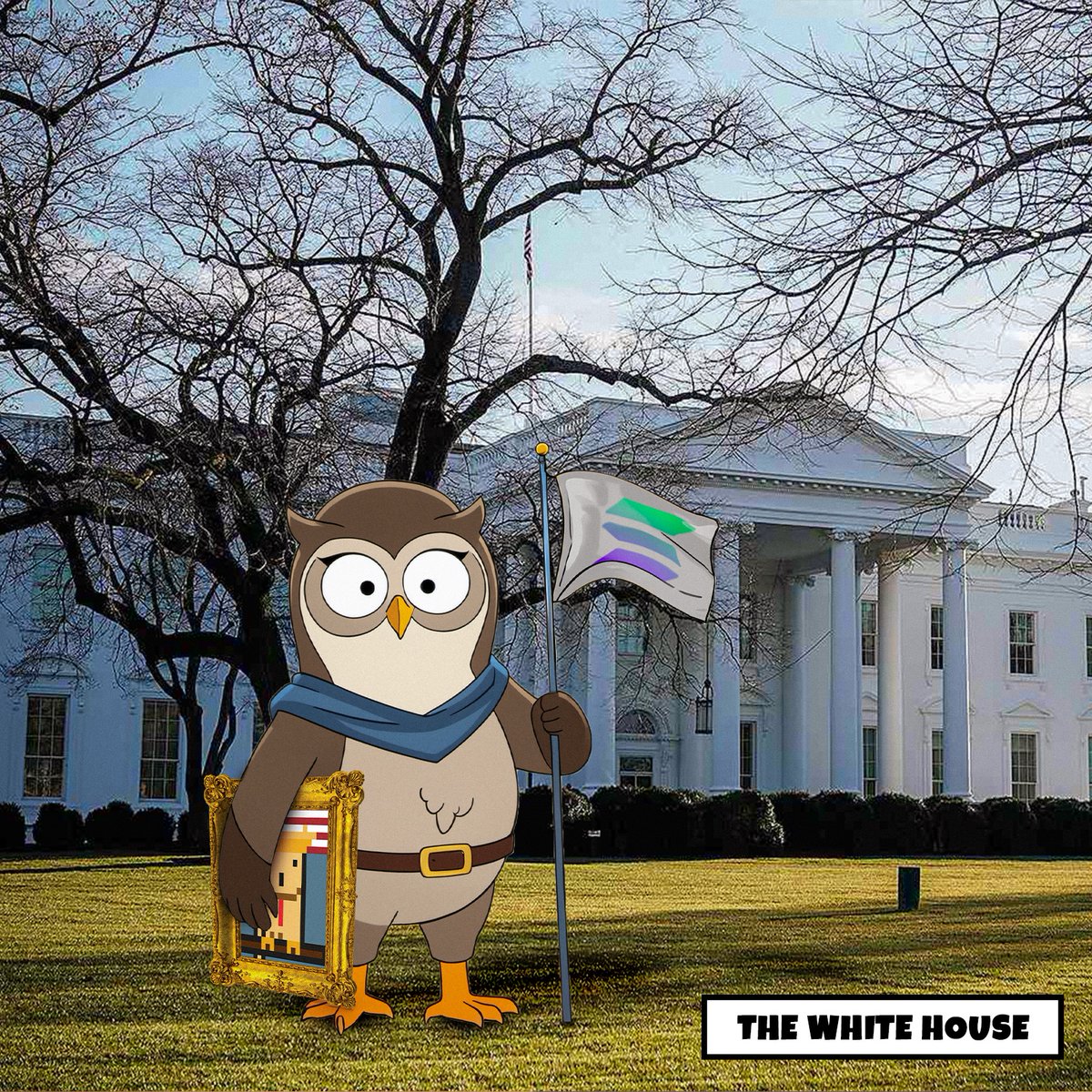 Owls 🦉 tweet media
