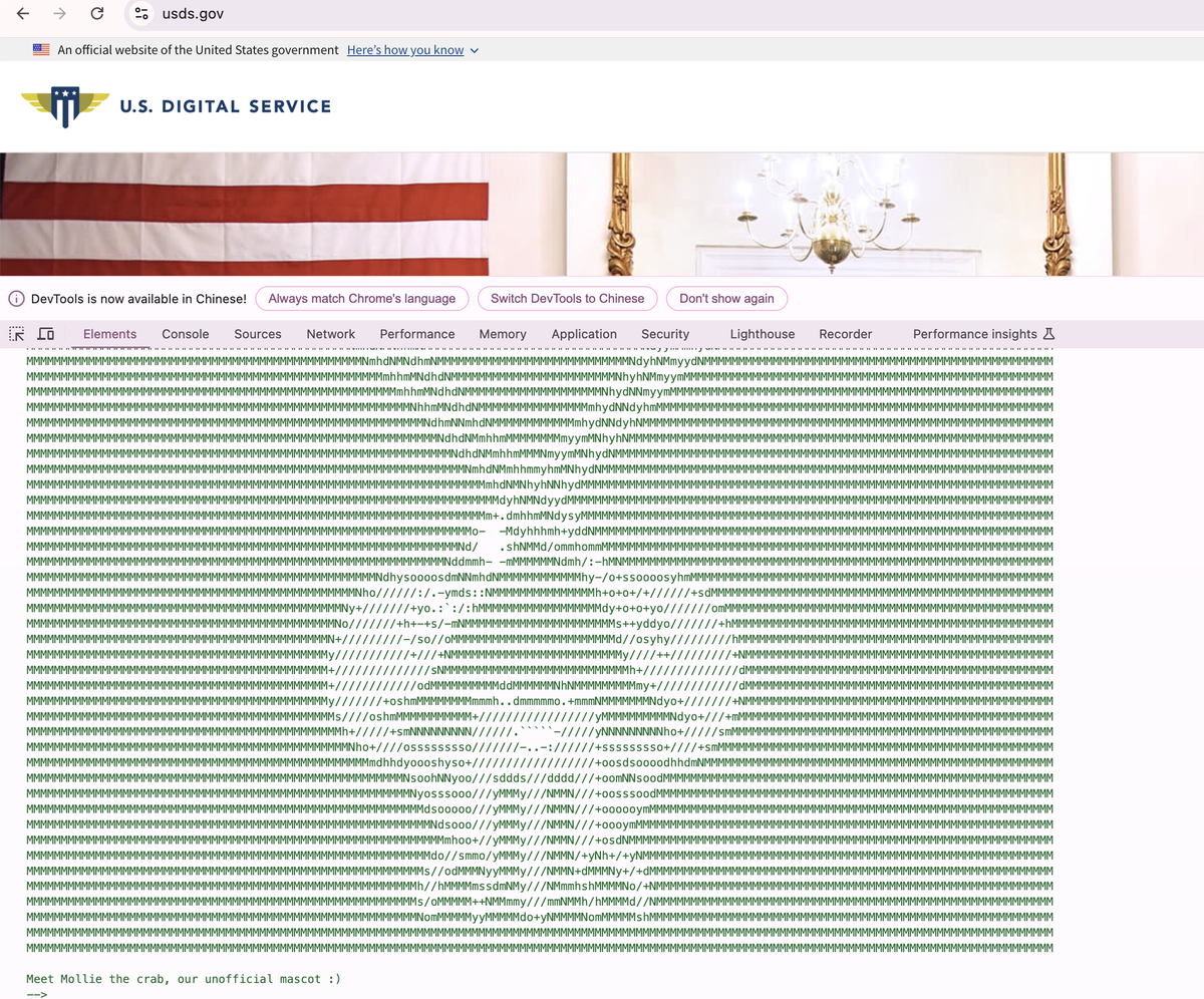 $mollie 
7MxBy391erAtPnjUH6ZJsjJzk2pNxCqLFKNowXF1pump

美国政府部门U.S. Digital Service (USDS)的官方网站usds.gov埋的一个非官方吉祥物

通过chrome>开发者工具>element可以看到，见附图，已验证确实有

USDS)是一个美国政府的机构，旨在利用技术和创新来改善联邦政府的服务