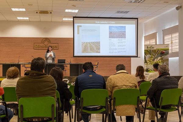 🧑🏻‍🔬🫒 #Investigadores del <a href="/IAS_CSIC/">IAS-CSIC</a> coordinan la edición de una guía de apoyo a la toma de decisiones para implantación de #cubiertas #vegetales en #olivar 

+INFO➡️cuadernoagrario.com/?p=63490 vía <a href="/CSICAndalExtrem/">CSIC Andalucía y Extremadura</a> <a href="/CSICdivulga/">CSIC Divulga</a> <a href="/ebdonana/">Estación Biológica de Doñana - CSIC</a> 

👉🏻<a href="/doestepa/">D.O.P.Estepa</a> <a href="/IfapaJunta/">IFAPA</a> <a href="/ASAJASEVILLA/">ASAJA-SEVILLA</a>