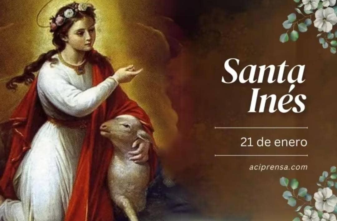 mcarrasqueroh's tweet photo. Cada #21Ene la Iglesia Católica celebra a #SantaInésDeRoma patrona de las mujeres jóvenes, las novias y las prometidas en matrimonio; así como de los jardineros y de quienes aspiran a vivir la virtud de la pureza. https://t.co/PA5S6i2VfI