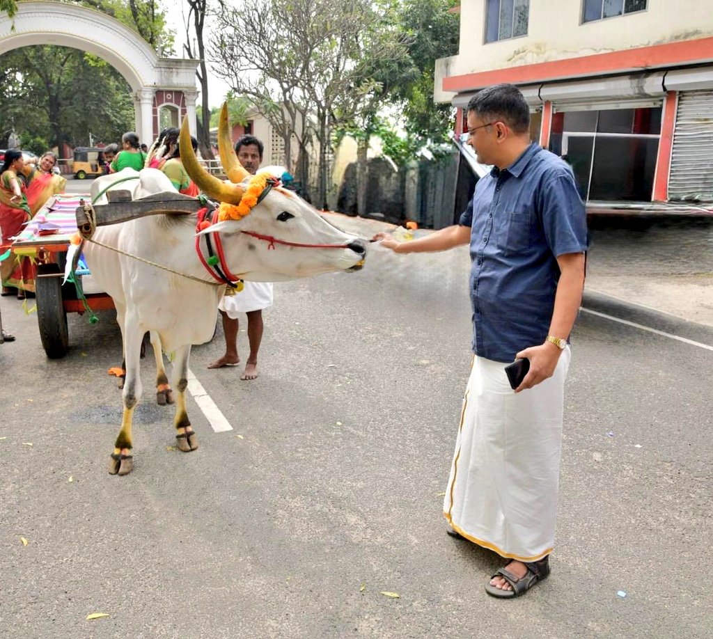 Ananth_IRAS's tweet image. Belated Pongal celebrations organised by our office in ICF - pouring milk into the Pongal pot and feeding the bull! Lovely traditions in this festival, besides the delicious lunch! 🙂😋 #Pongal2025