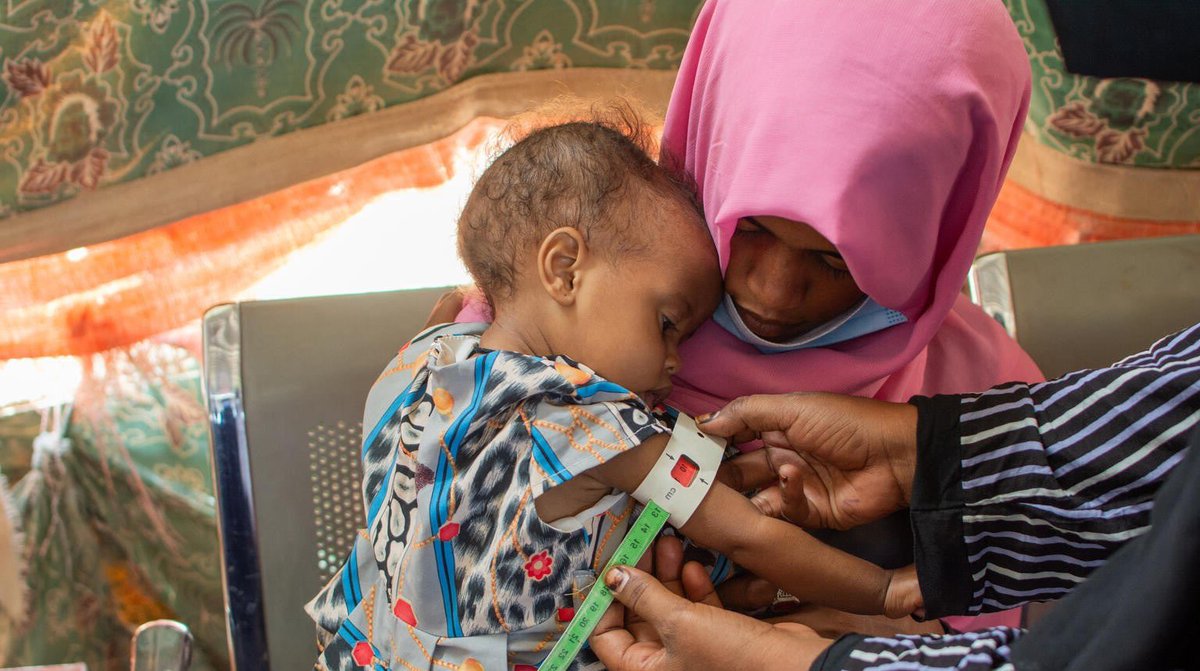 HorrorHijabi's tweet photo. half a million infants in Sudan died from malnutrition, it is reported that 30% of children in sudan face malnutrition. Theres severe shortages of food, water and medical aid. We need your help to save their lives
 https://t.co/BhHbLAz3XR https://t.co/IOs27TeK6K