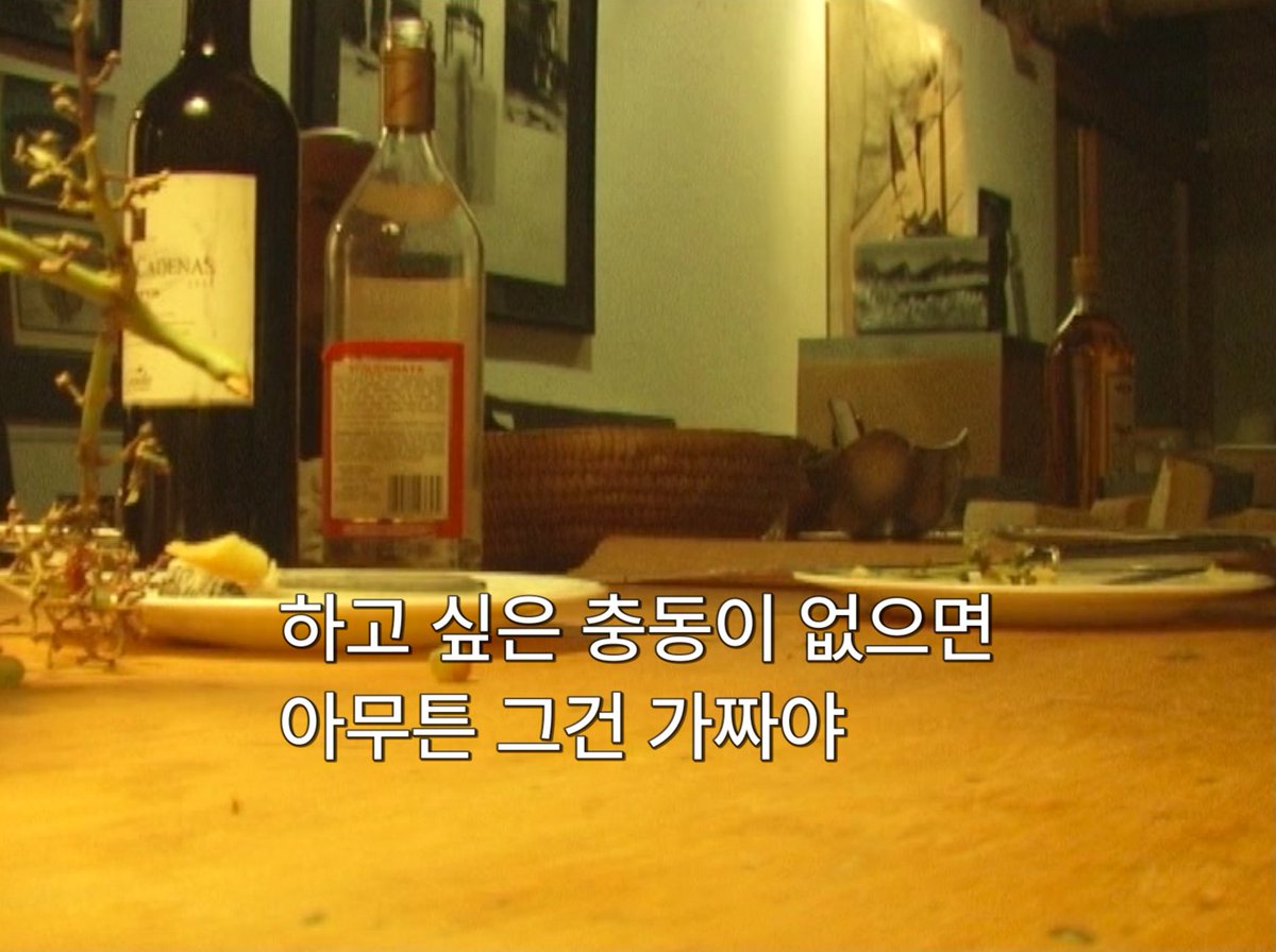 요나스 메카스, <잠 못드는 밤 이야기>(Sleepless nights stories, 2011)Translate post