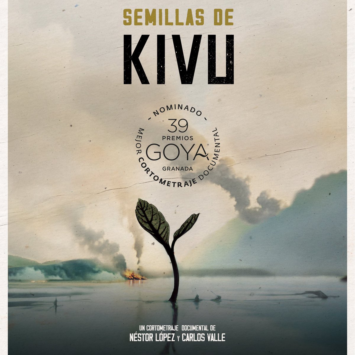 El Cinecrítico tweet media