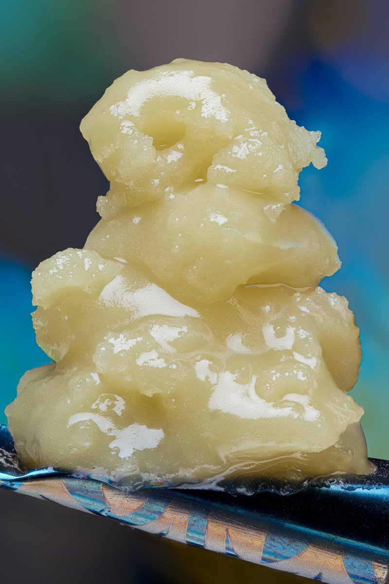 Terpshotzphotography tweet media