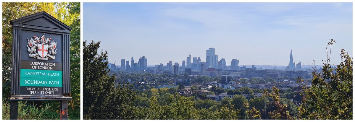 7t (A108116) tweet media