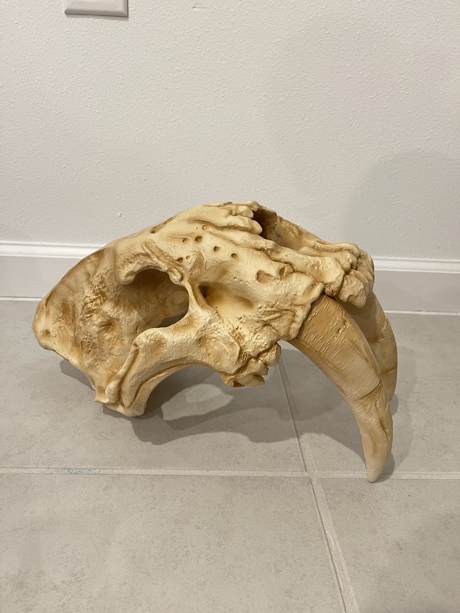 The_Pred_Head's tweet photo. Here is the finished #predhead3 (for now)! It’s got the matte clear coat going on it and then it’s ready to debut in MKE!
It doesn’t quite look this dark in person & I think adding the little bit of black and purple to the sepia tone I was using did wonders to cut the yellow! https://t.co/loN2Nup5vG