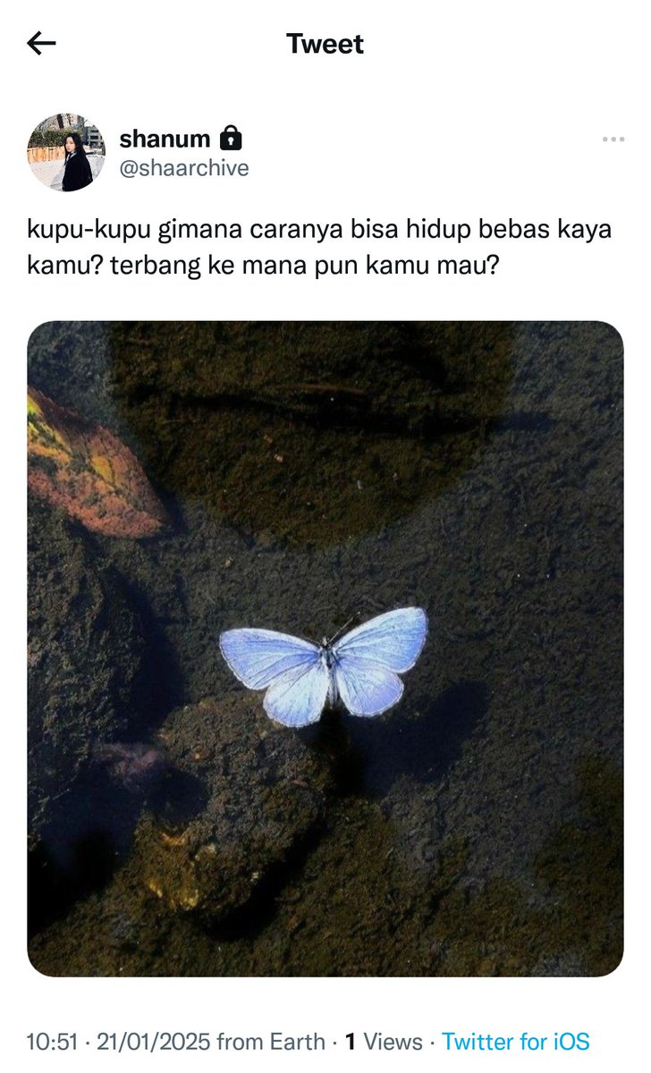 epholoply's tweet photo. You are my desire 🦋🦋

Watanabe haruto short au
© Epholoply, 2025 https://t.co/5ijJVx4A2b