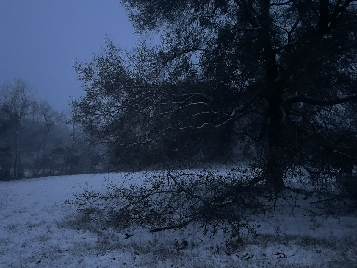 LiteralSack's tweet photo. Nighttime Weather Volume 354 (snowy morning edition 🥀): https://t.co/xANVycHz3t
