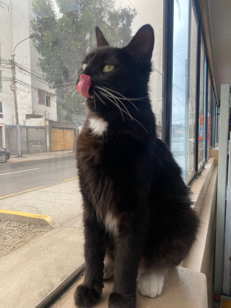 TE SEGUIMOS BUSCANDO LUNA 🚨🚨🚨🚨🚨🚨🚨🚨🚨
Te extrañamos gordita 🥺🥺🥺😔😔