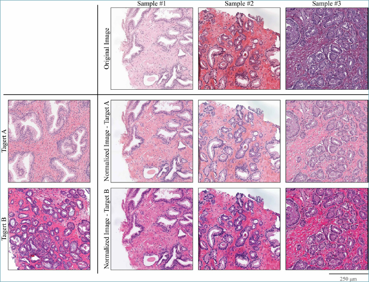 Pathologica tweet media