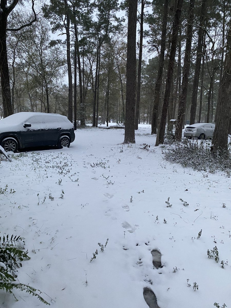 FallenAngel3493's tweet image. WE GOT SNOW!!! 🌨️