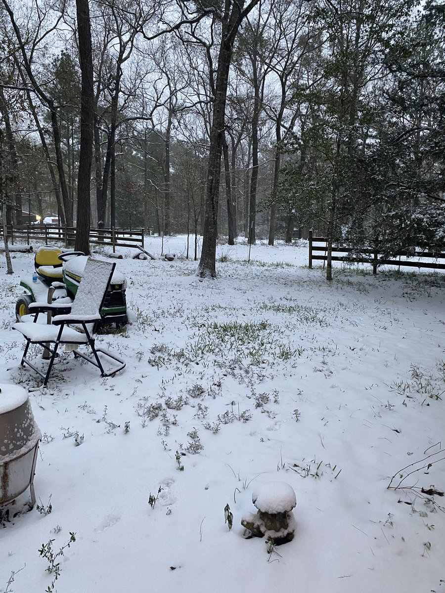 FallenAngel3493's tweet image. WE GOT SNOW!!! 🌨️