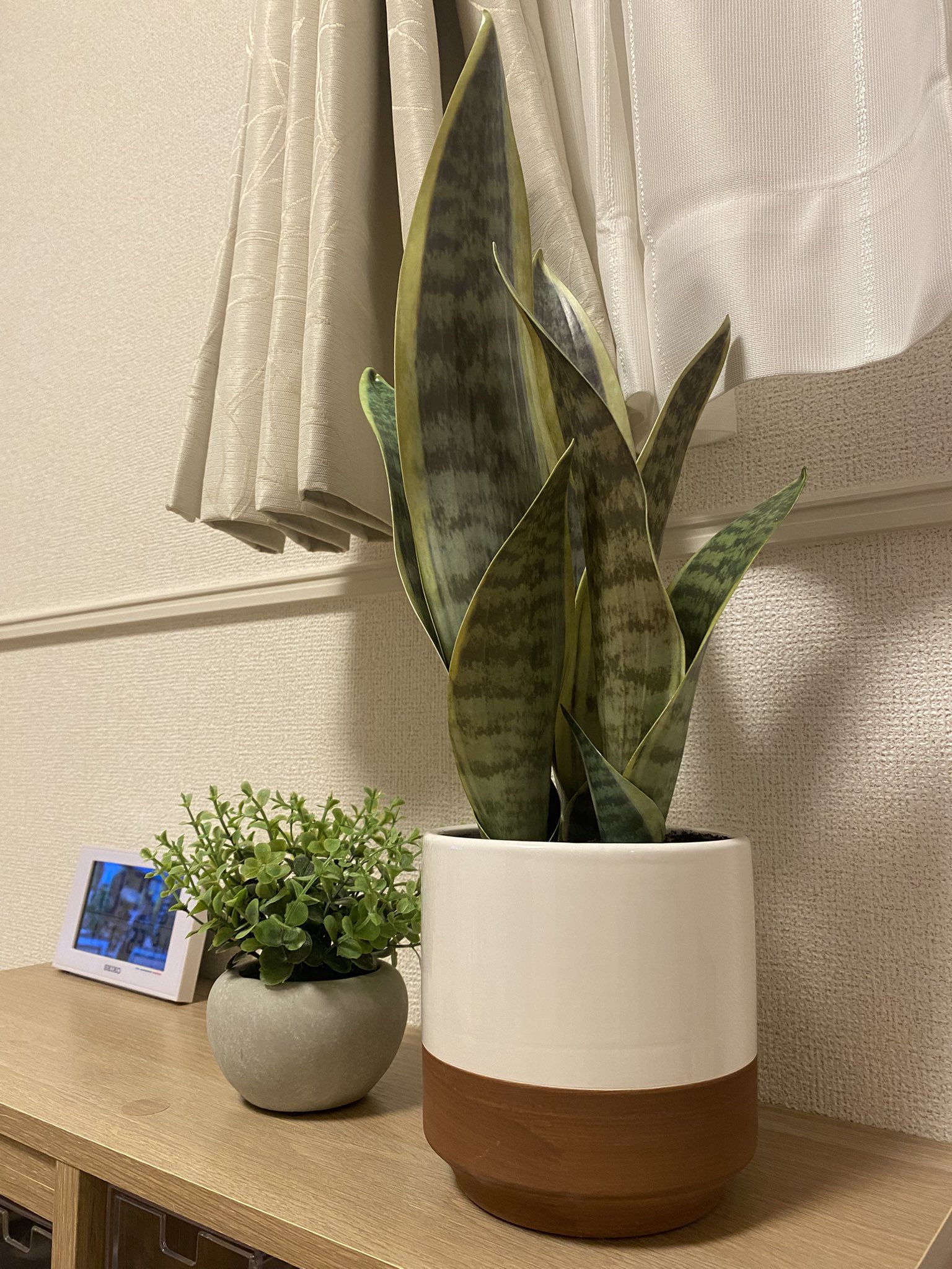 ニトリ on X: 