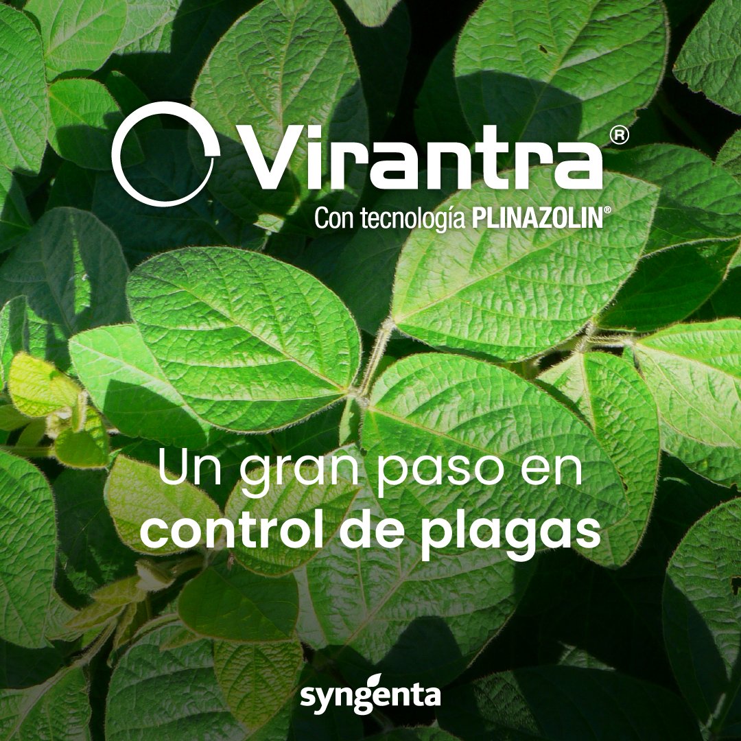 Syngenta Uruguay tweet media