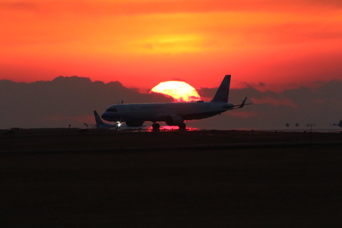 阿蘇くまもと空港で念願のダルマ夕陽撮れました。
#夕日
#くまもと空港
#飛行機