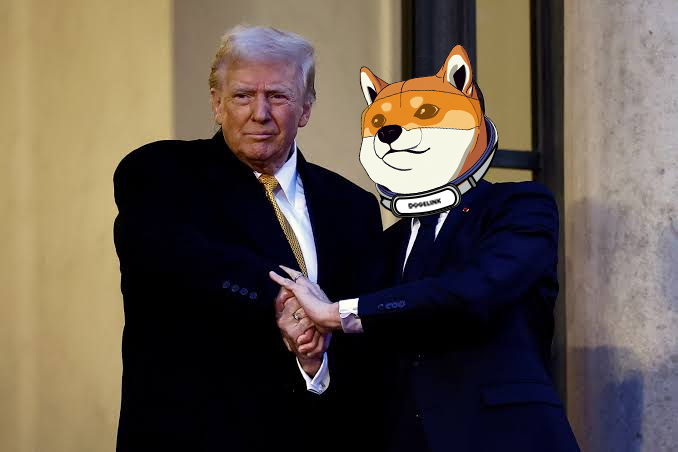 dingc0161's tweet photo. @wolfyxbt $DOGER是正式开启的MEME季领军项目！马斯克的社媒发言人Mario持续明奶，#doger/$DOGER $DOGER - sol 宠物ai agent 龙1
ca
6oZYqMfGpk6xANmXqsTVGVMtC8eP9vExiwseE3ZBpump https://t.co/Rvou9aMOBc