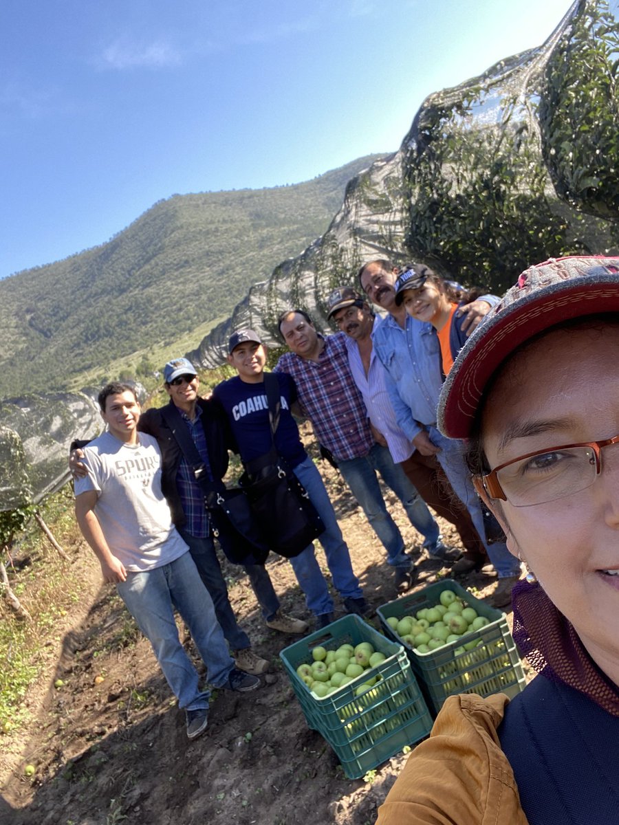 desertique's tweet photo. Comparto mi colaboración en @Excelsior:

https://t.co/qndVGoh7ZT

Al elegir turismo sustentable y regenerativo se vive una experiencia inolvidable, cada paso dado en estos destinos contribuye a la sanación de nuestro planeta y al fortalecimiento de las comunidades.

Gracias, ☺️. https://t.co/PT7Hj3budZ