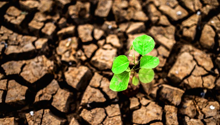 COMUNIDADES INDÍGENAS Y CONSERVACIÓN FORESTAL: EN BUSCA DEL EQUILIBRIO PERFECTO

mahuilque.cl/gestion-ambien…

#Biodiversidad
#CienciasDeLaTierra
#DesarrolloSostenible
#Drones
#Geoinformación
#GestiónAmbiental
#IngenieríaAmbiental
#InnovaciónTecnológica
#Mahuilque
#MineríaSostenible