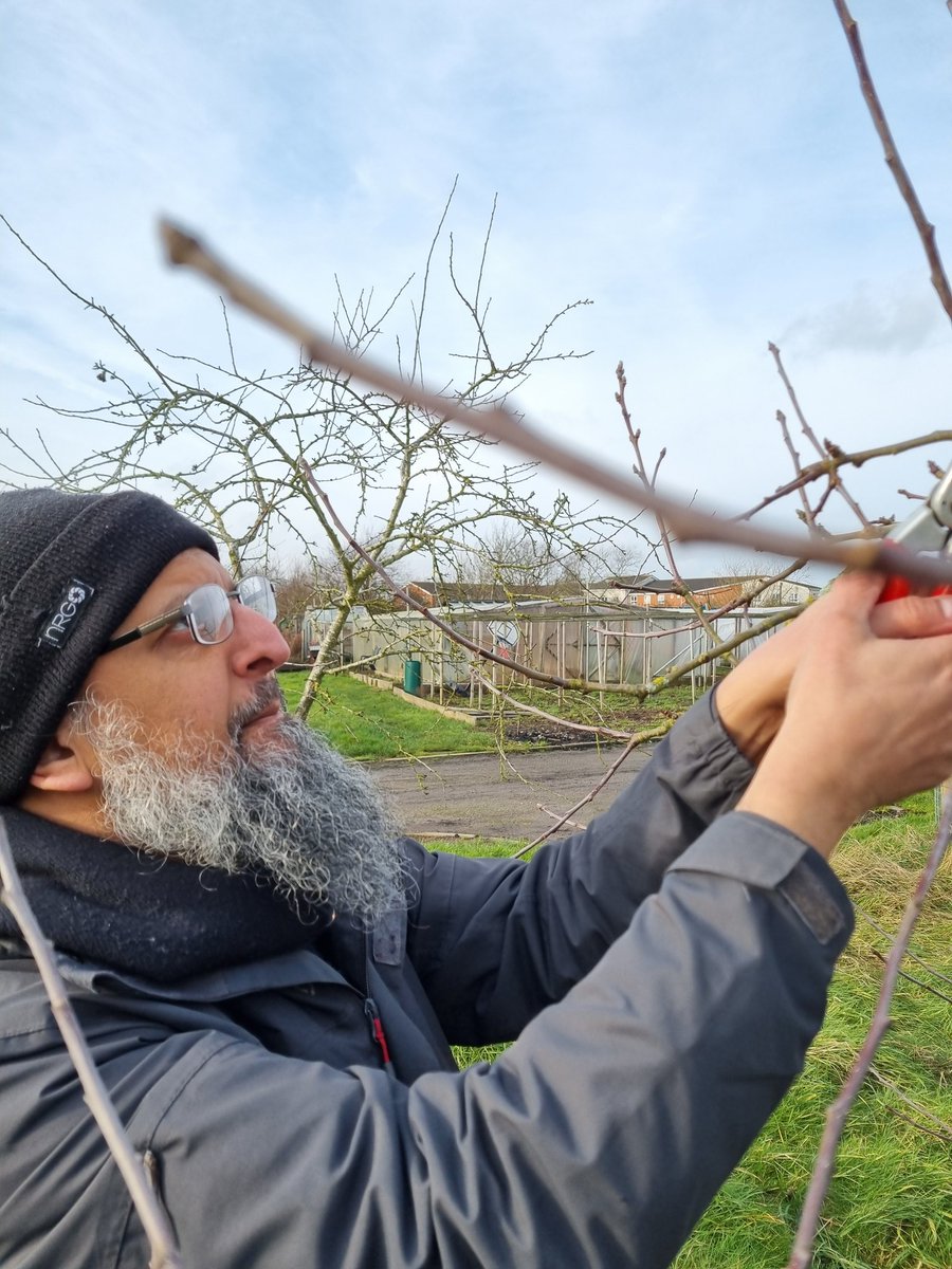 fruitnutvillage's tweet image. It's been great working with @CETBrum today... pruning their orchards in #CastleValeAllotments