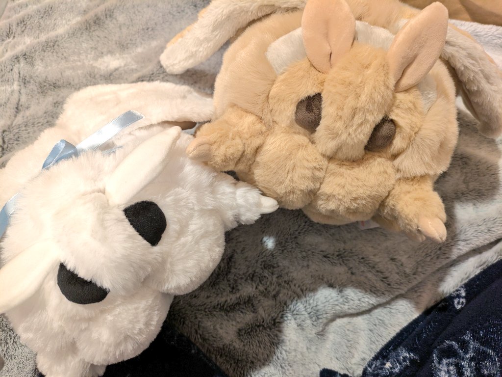 ヤママユガ系モスのぬいぐるみ届きました〜！！！カイコガ系モス
