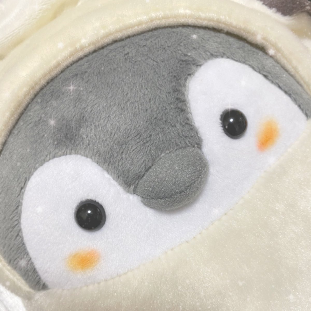 そういえば口角が上がっている子🐧の呟きを見たけど、うちの牡蠣ちゃんも口角上がってて可愛いんだよー🩷おみせやさんであまりの可愛さに目が合っちゃったんだなあー🫶
それからは口角上がってる子をお迎えしがち😅