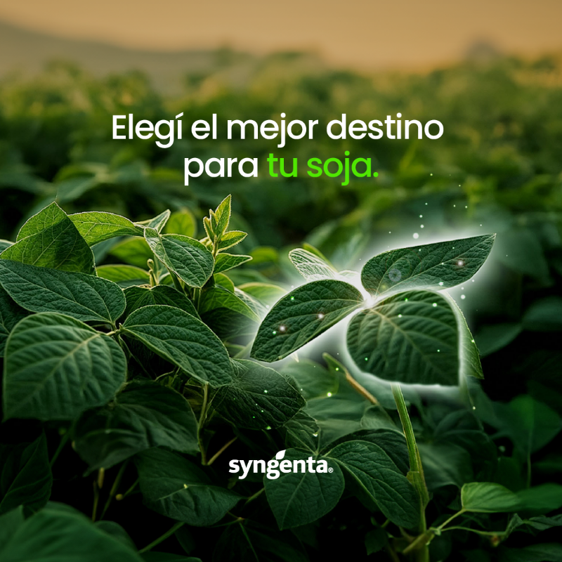Syngenta_ar's tweet photo. 🕵️‍♂️ ¿Conocés los beneficios de MIRAVIS® DUO? 

¡Descubrilos! Te damos algunas pistas en forma de emojis para que conozcas qué es lo que lo hace único. 🤔

Más información 👉 https://t.co/Zh5OYOIyYj