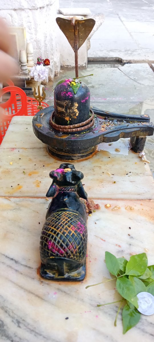 meTheJaatBoy's tweet photo. संध्या काल का समय महादेव जी के आरती दर्शन लाभ का समय है।
     ।।हर हर महादेव।।
#हर_हर_महादेव #eveni https://t.co/9VFIIEakjT