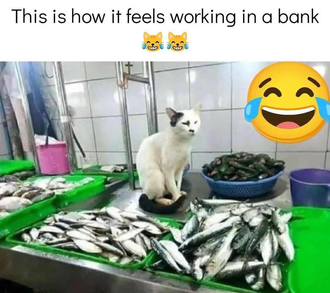 SolidvybzUK tweet media