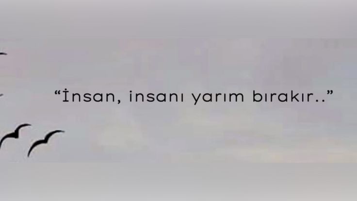 GulGnca's tweet photo. Ne kadar çok acı var. Ne kadar çok öldük, yaşamak için,.. https://t.co/I7c6CBAzef
