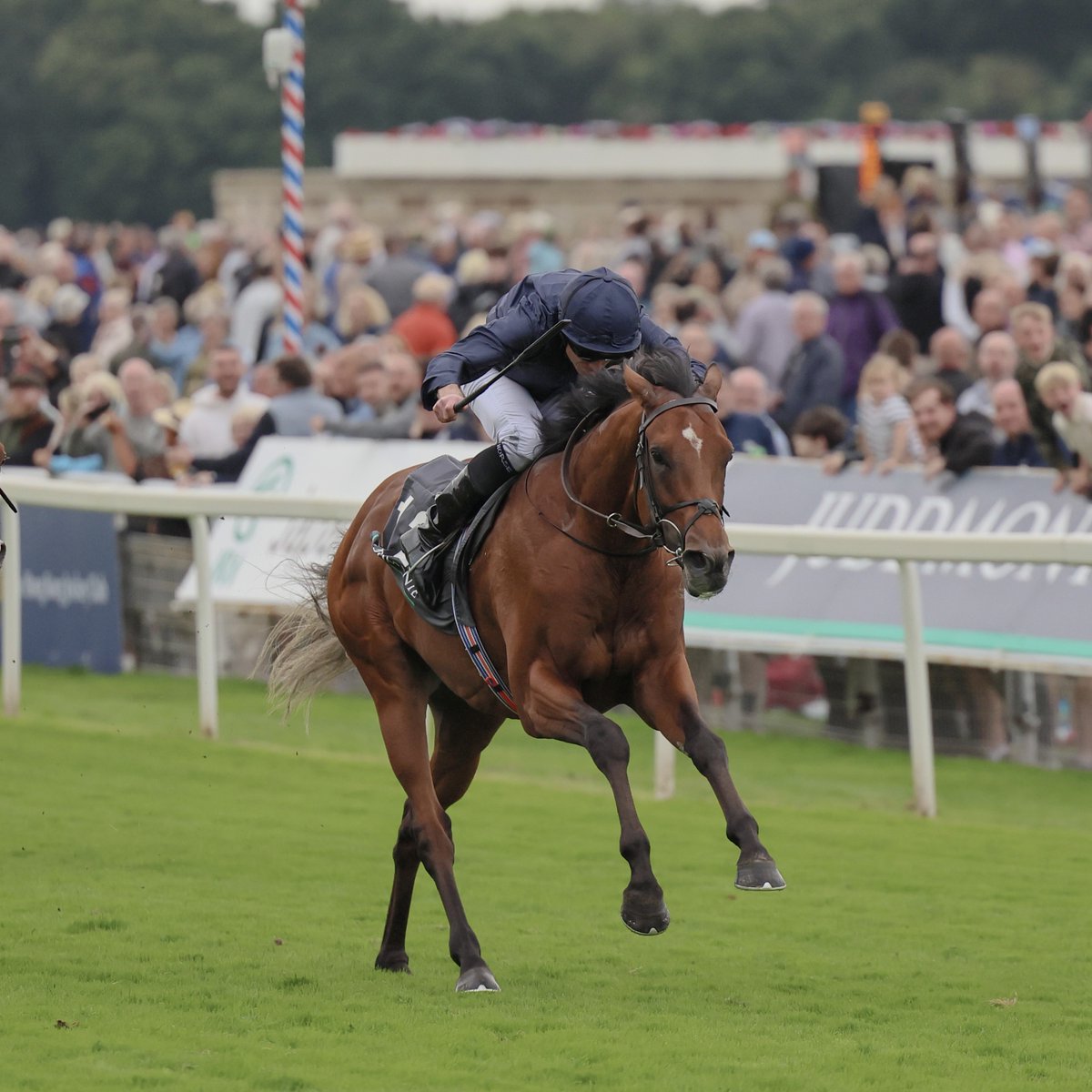 Coolmore (@coolmorestud) on Twitter photo 🏆 World's Best Racehorse 🏆
CITY OF TROY has been named <a href="/worldsbesthorse/">IFHA's Longines World's Best Racehorse Rankings</a> World's Best Racehorse of 2024.
Winner of 4 Group 1s, including the <a href="/worldsbesthorse/">IFHA's Longines World's Best Racehorse Rankings</a> World's Best Race; The Juddmonte International, CITY OF TROY is new to Coolmore Stud for 2025.
#CoolmoreSires 🏆 World's Best Racehorse 🏆
CITY OF TROY has been named <a href="/worldsbesthorse/">IFHA's Longines World's Best Racehorse Rankings</a> World's Best Racehorse of 2024.
Winner of 4 Group 1s, including the <a href="/worldsbesthorse/">IFHA's Longines World's Best Racehorse Rankings</a> World's Best Race; The Juddmonte International, CITY OF TROY is new to Coolmore Stud for 2025.
#CoolmoreSires