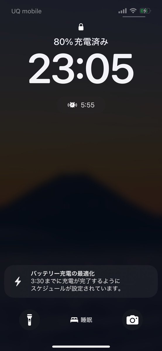 目が覚めた。
めっちゃ寝たと思って時計見たら1時間も経ってないっていう二度寝、三度寝。。。一体何時に寝たんだよ……