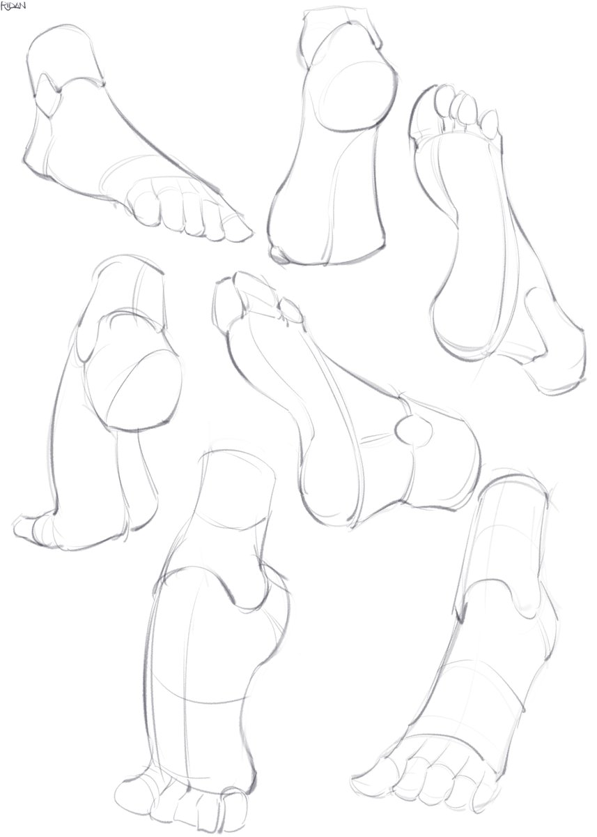 nadir_not's tweet photo. Hands and Feet, getting back on more construction studies. 

#illustration #sketch #drawing #art #ArtistOnX #sketch #doodle #digitalart #illust https://t.co/vaFnwPtZTi