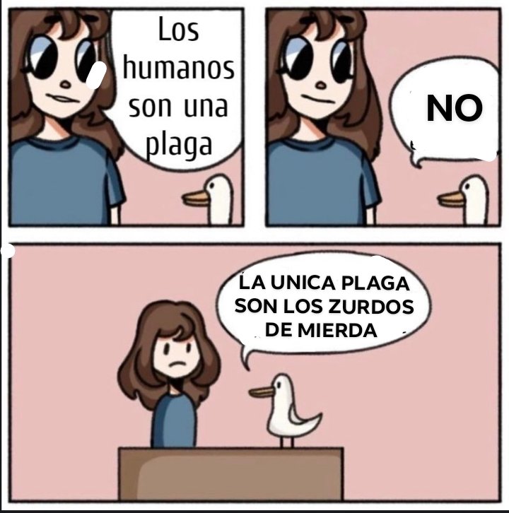 XD