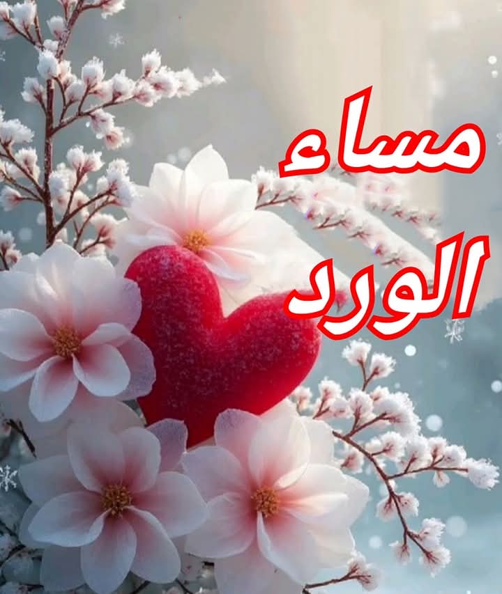 s7s19904's tweet photo. علمتني الصداقه  أنها أجمل علاقه وعلمني الحب  أن لا أكره من أحب وعلمني الزمان  أن المشاعر  لا تقدر بثمن وعلمني النسيان   أن هناك أناس لايستحقون النسيان لأنهم  في القلب أسكناهم.. https://t.co/SMxLpAwEZ0