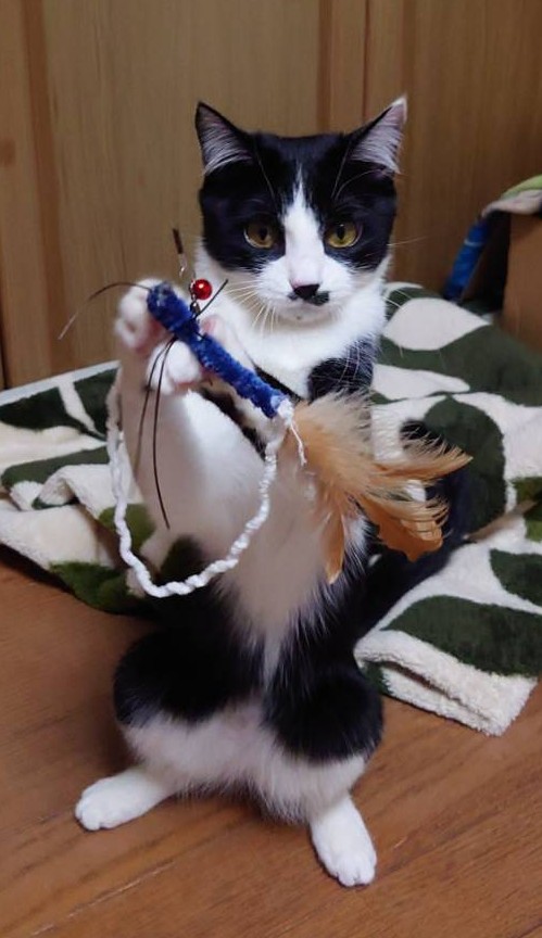 みーちゃん みーちゃんママ (@mikemii1010) / Posts / X