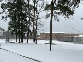 Dr Sukari Stredit-Thomas tweet media